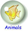 Animals for Kids